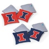 Illinois Fighting Illini